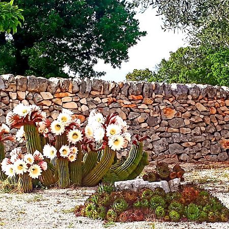 Casa Relax Isabelle Bed & Breakfast Alberobello Eksteriør bilde