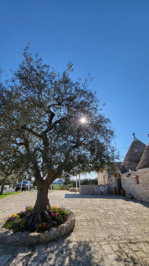 Casa Relax Isabelle Bed & Breakfast Alberobello Eksteriør bilde