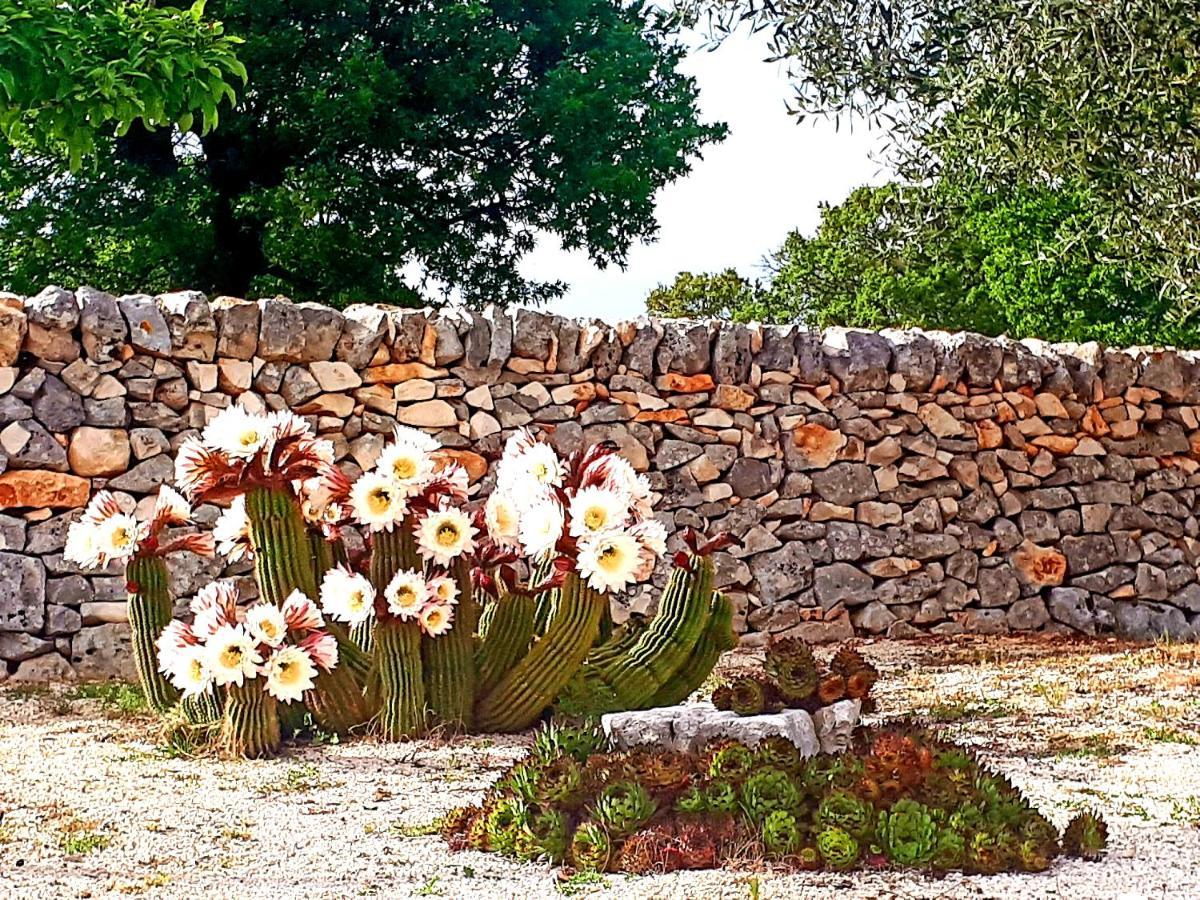 Casa Relax Isabelle Bed & Breakfast Alberobello Eksteriør bilde